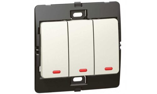 Cơ Phận Màu Trắng